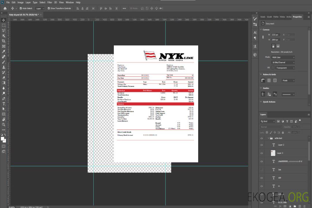 Talon de paie de la compagnie maritime USA NIPPON YUSEN KAISHA template Talon de paie de la compagnie maritime USA NIPPON YUSEN KAISHA template